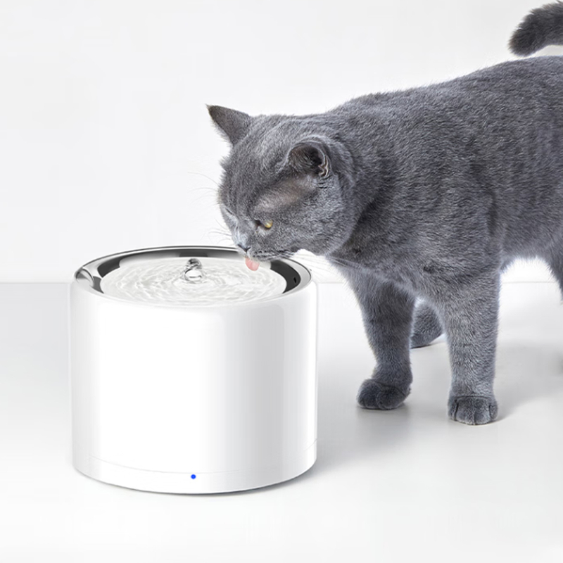 宠物饮水机